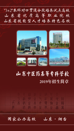 2019年普通?？普猩喺屡c職業(yè)中介活動(dòng)解析