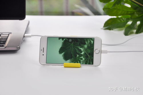 2021年蘋果產品選購指南 iPhone、iPad、iWatch、AirPods全方位解析及軟件設計開發推薦