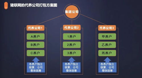 農(nóng)信互聯(lián)與紅明彪集團(tuán)合作 手機(jī)軟件設(shè)計與開發(fā)引領(lǐng)創(chuàng)新發(fā)展新模式